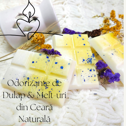 Odorizante de Dulap & Melt-uri din Ceară Naturală